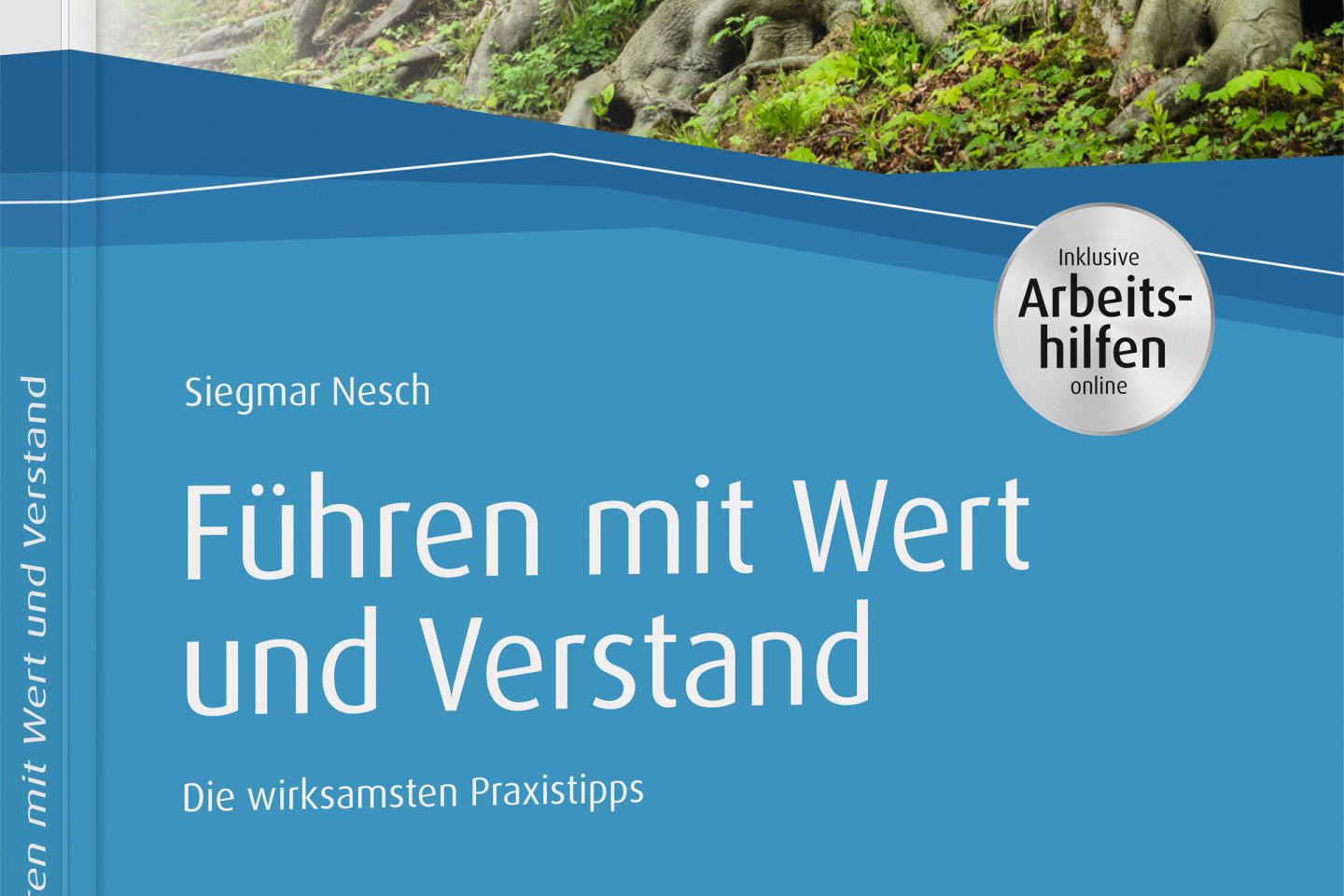 neschconsulting-mein-buch-ist-erschienen